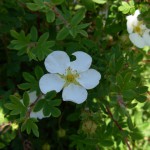 DSCN1587