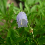 DSCN2262