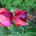 DSCN2349