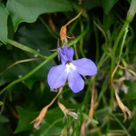 DSCN2585