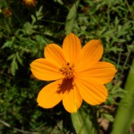 DSCN2830
