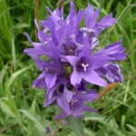 DSCN0783